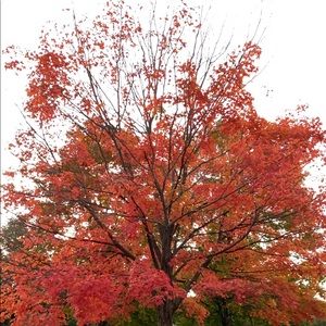 Meet your Posher, Shreya